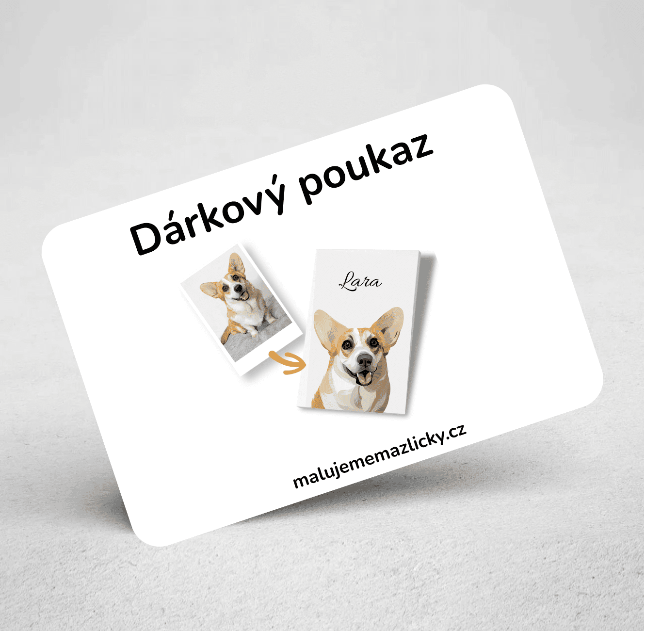 Dárkový poukaz